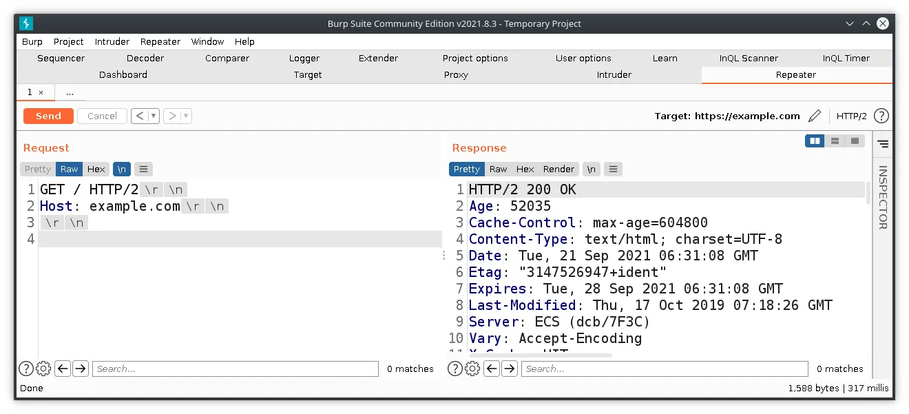 burpsuite repeater showing non-printable chars